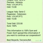 Fixed Single Sure Tip